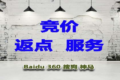 搜索引擎优化（SEO）与竞价广告（SEM）的对比案例